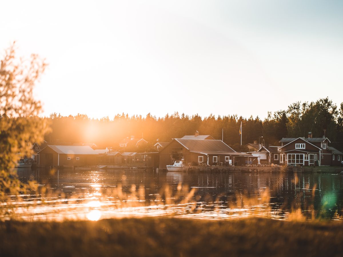 4 Day Inner Evolution Master Plants Retreat in Sweden 2