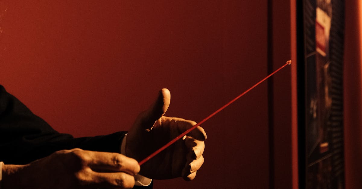 Red Pinter in a Hand · Free Stock Photo