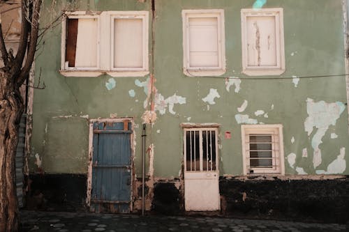 Green Wall of Abandoned Building