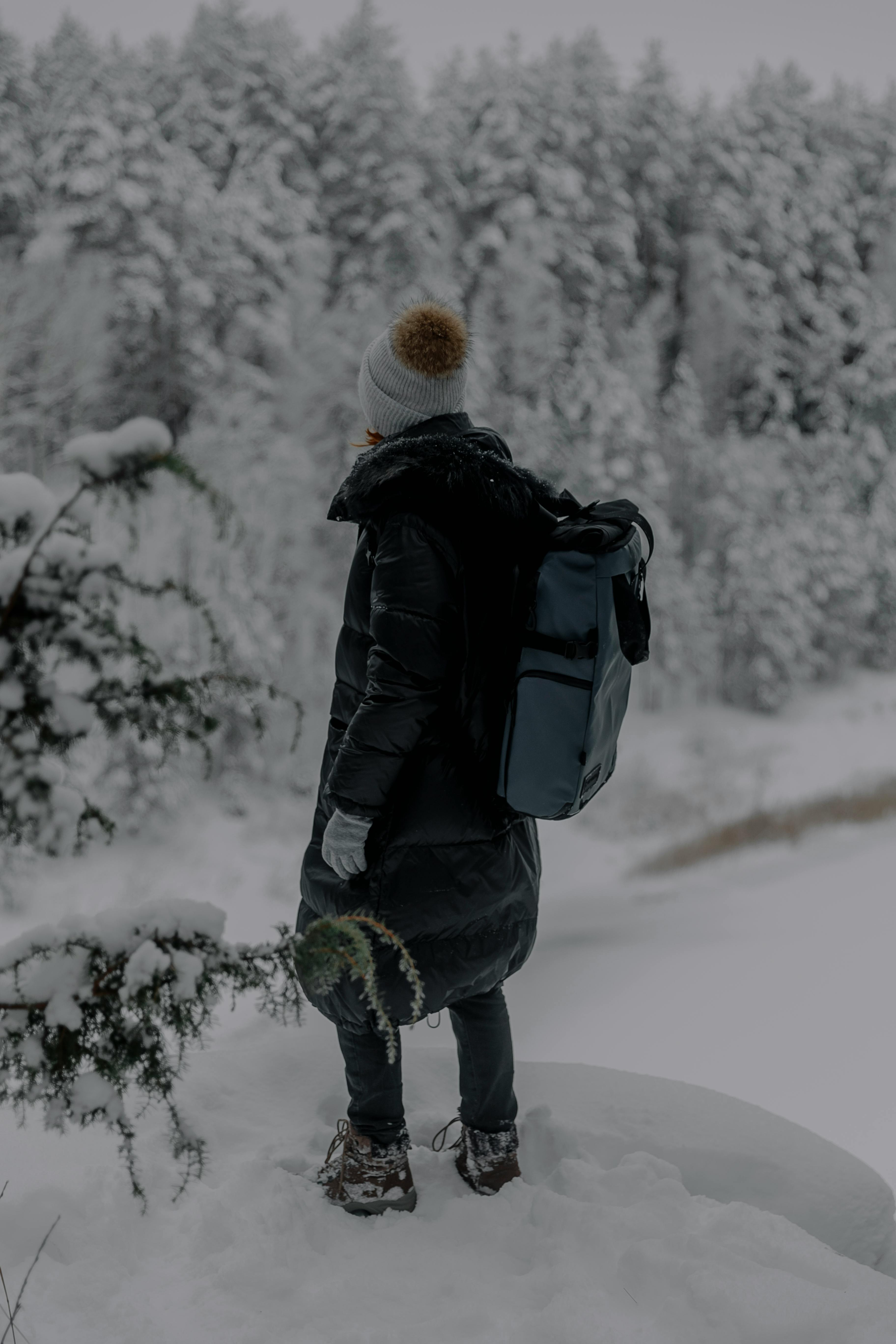 무료 wintervibes, 감기, 걷고 있는의 무료 스톡 사진