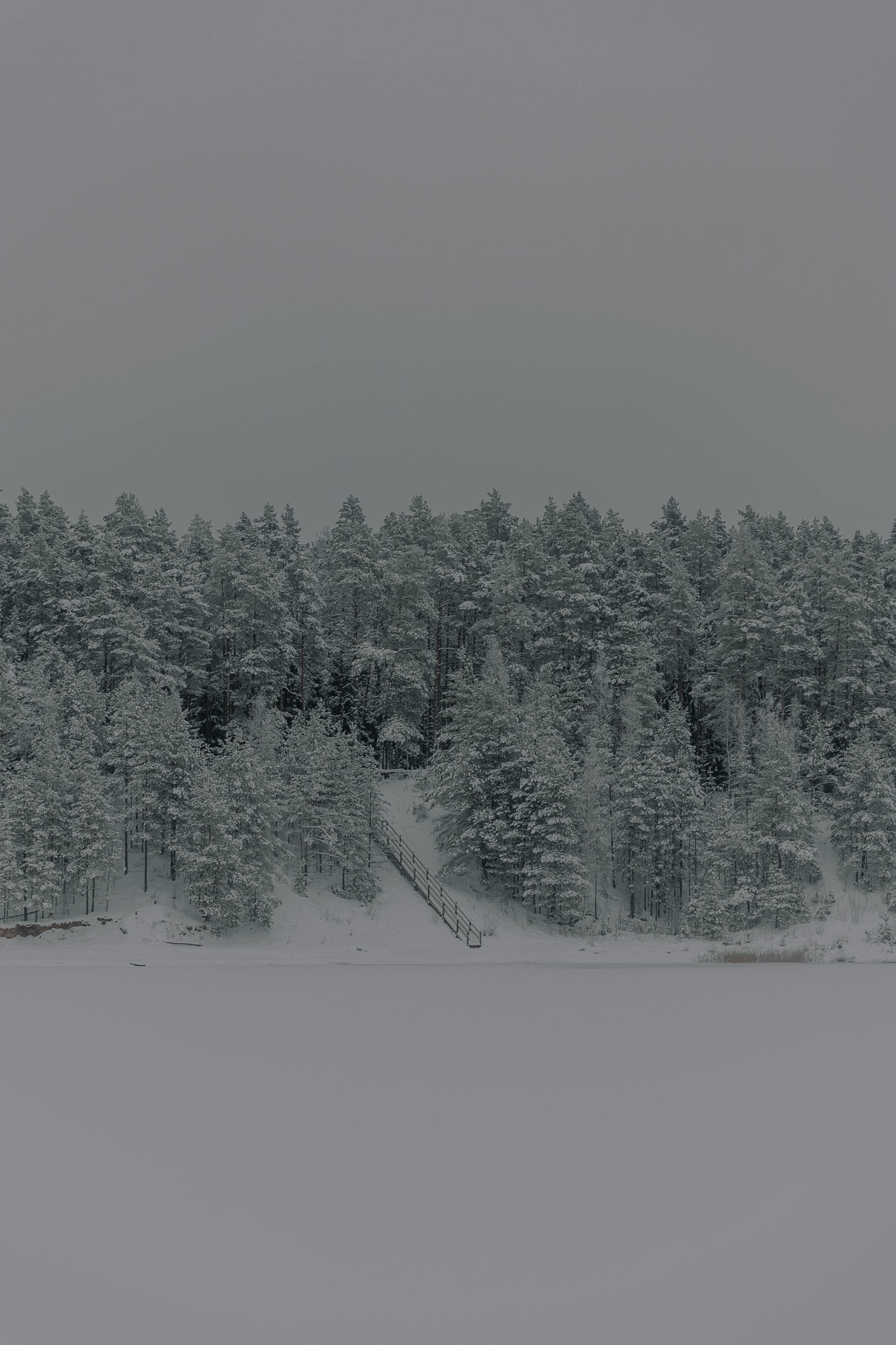 grátis Foto profissional grátis de ao ar livre, arejado, árvores Foto profissional