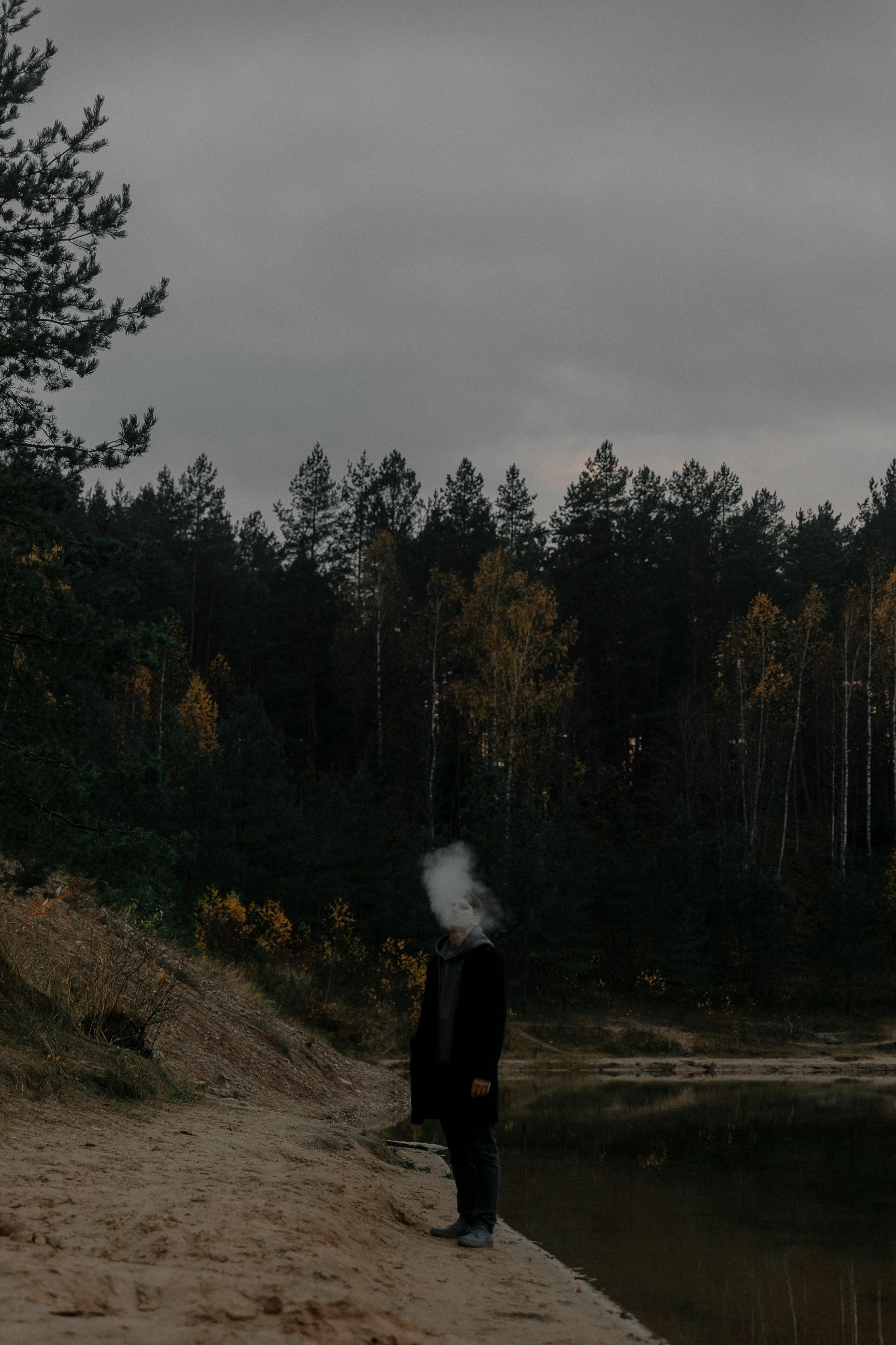 Gratuit Imagine de stoc gratuită din acoperit de nori, apă, arbori Fotografie de stoc