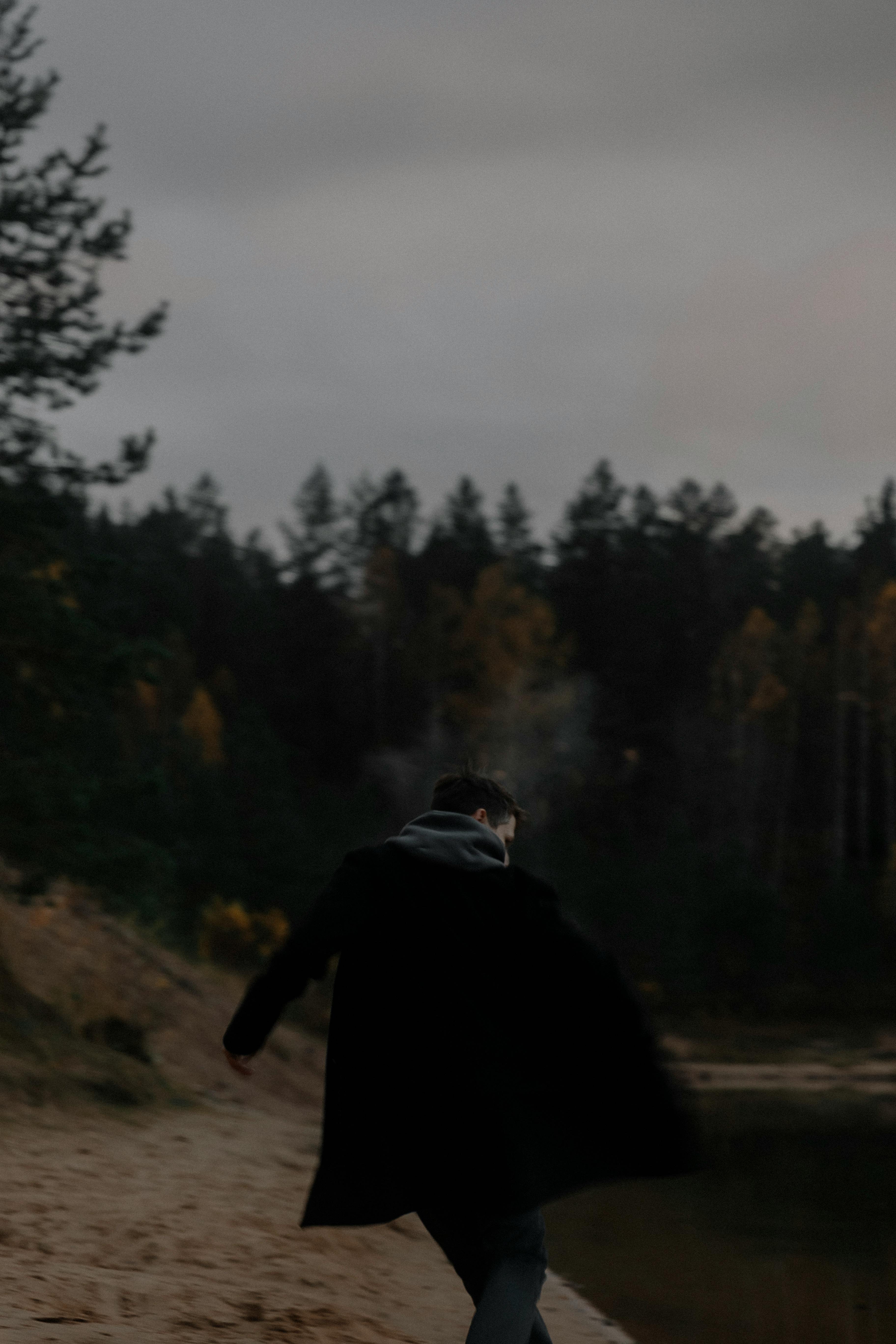 Gratuit Imagine de stoc gratuită din amurg, arbori, armonios Fotografie de stoc