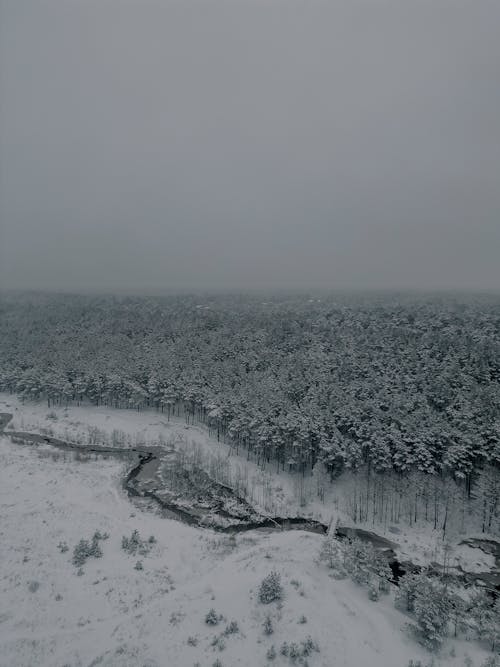 Clouds over Forest and River in Winter in Black and White