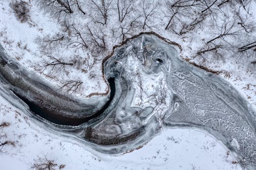 Photos gratuites de arbres, fleuve, froid