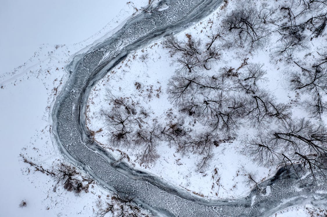 Kostenloses Stock Foto zu bäume, eis, fluss