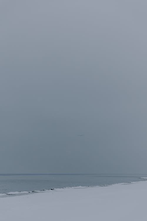 buz, deniz, dikey atış içeren Ücretsiz stok fotoğraf