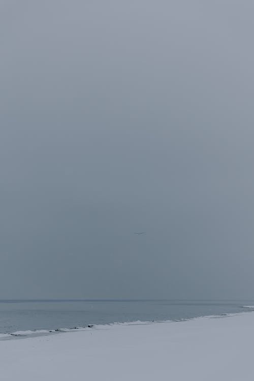 Coastline Covered by Snow and Sea on a Winter Day 