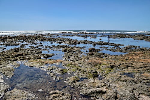 Бесплатное стоковое фото с береговая линия, горизонт, море