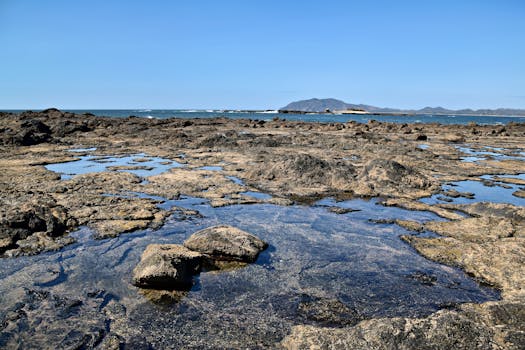 Tamarindo, Costa Rica photo 4