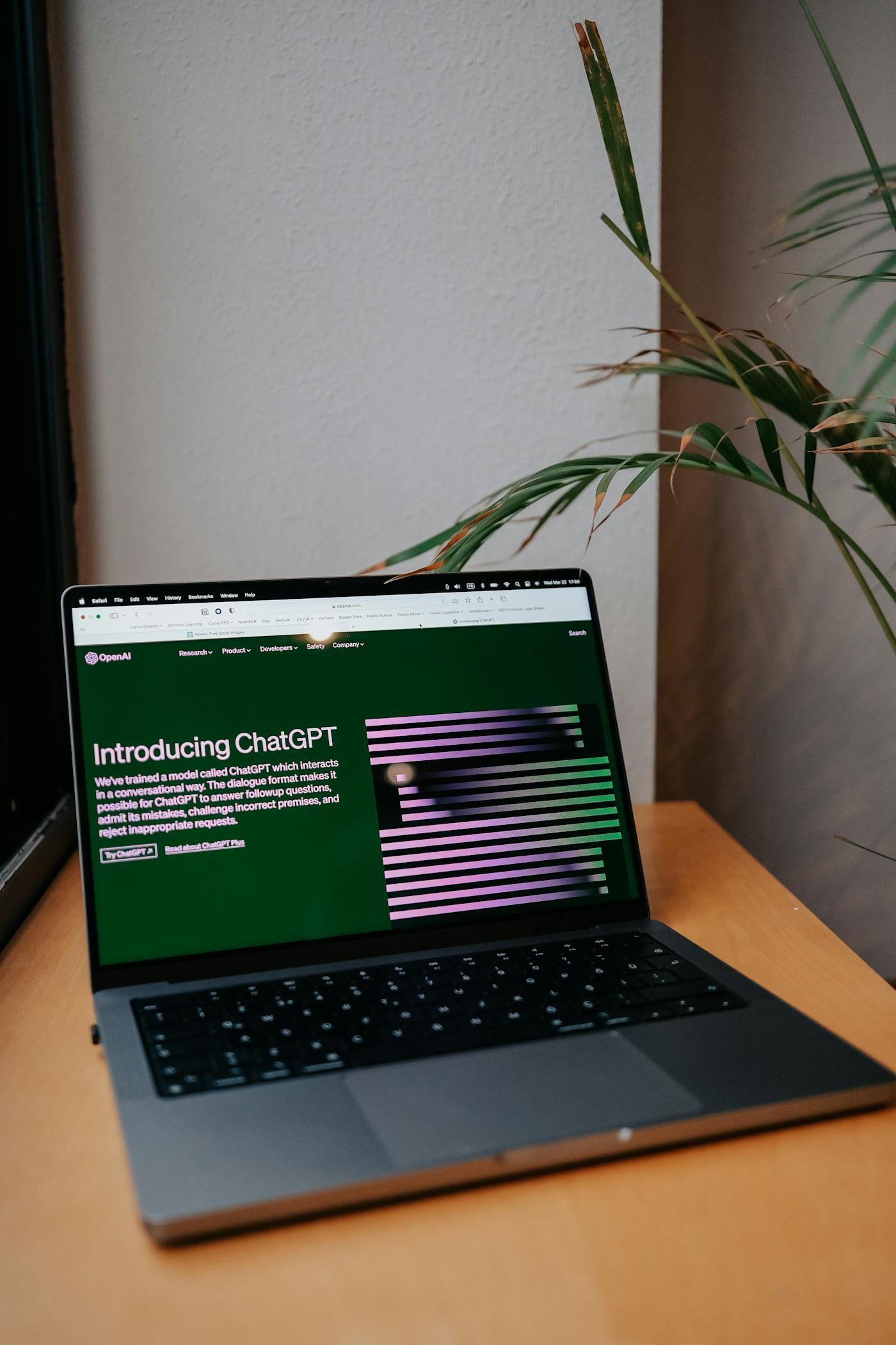 Minimal workspace image for newsletter section
