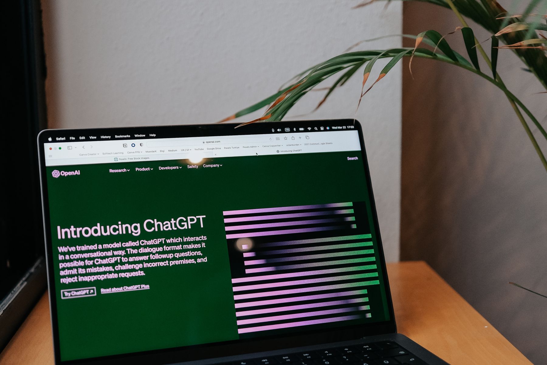 Generative AI & LLM Development — professional business environment
