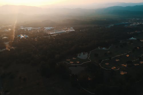 Ağaçların Hava Fotoğrafçılığı