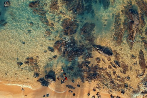 Fotografía Aérea De Cuerpo De Agua