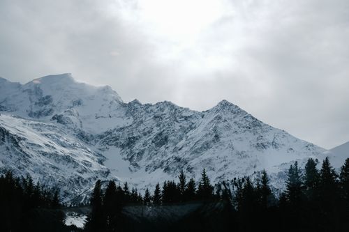Free Breathtaking view of snowy mountains with pine forest foreground, under an overcast sky. Stock Photo