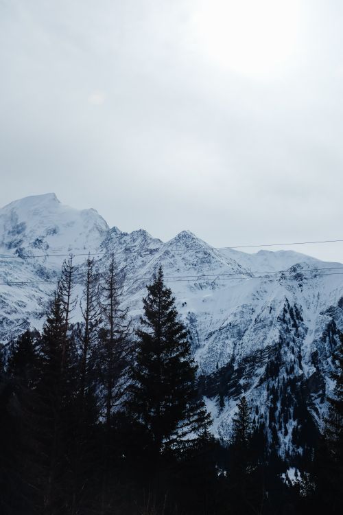 Free Breathtaking winter landscape of snow-covered mountains and pine trees with an overcast sky. Stock Photo