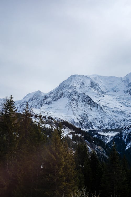 Clouds over Forest and Mountains