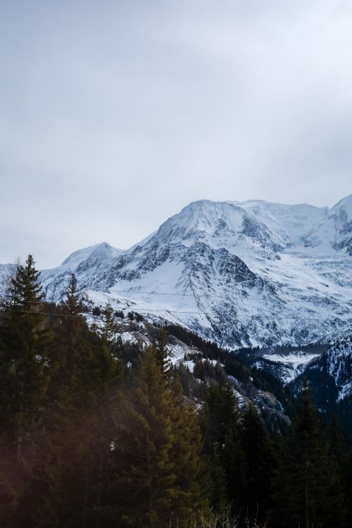 Free Majestic snow-covered mountains and lush pine forests create a stunning winter landscape. Stock Photo
