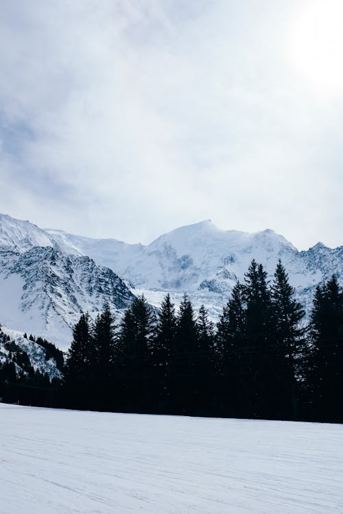 アルプス, 冬, 垂直ショットの無料の写真素材