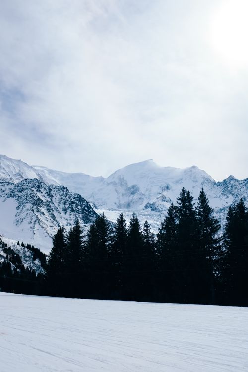 Free Scenic view of snow-covered mountains and pine forest under a bright winter sky. Stock Photo