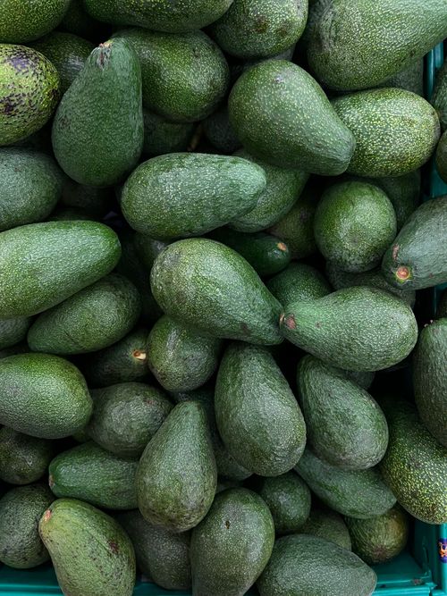 Free Close-up of freshly harvested avocados piled together, showcasing texture and lush green color. Stock Photo