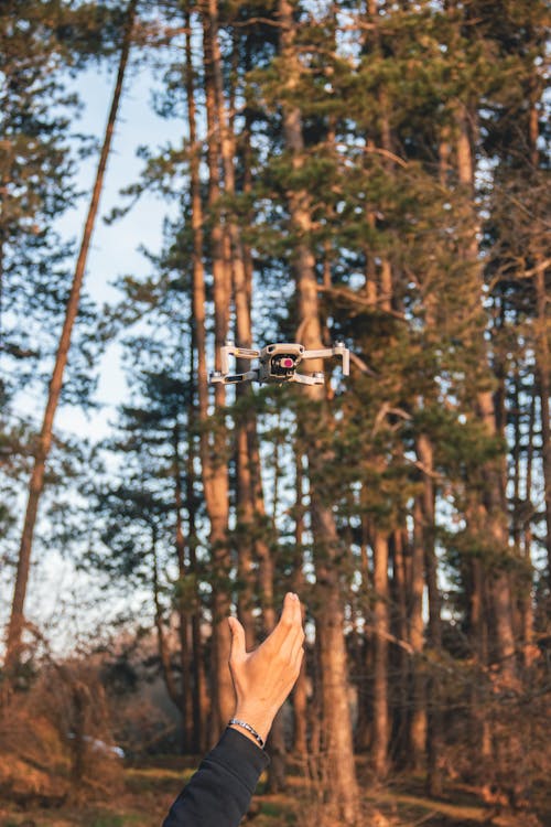 Drone over Hand in Forest