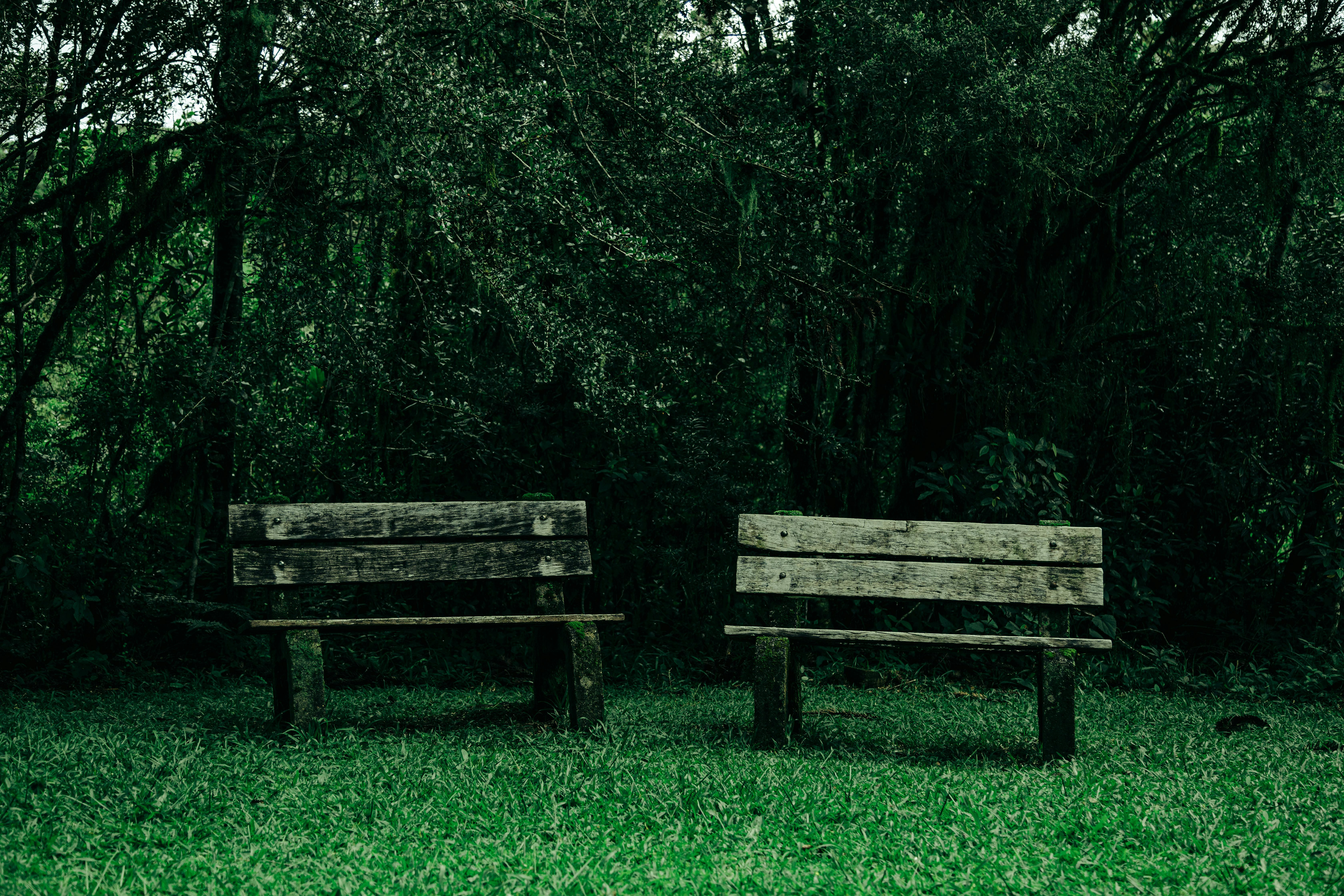 The ultimate outdoor workout: all you need is a park bench — Photo by Gabriel Ramos on Pexels