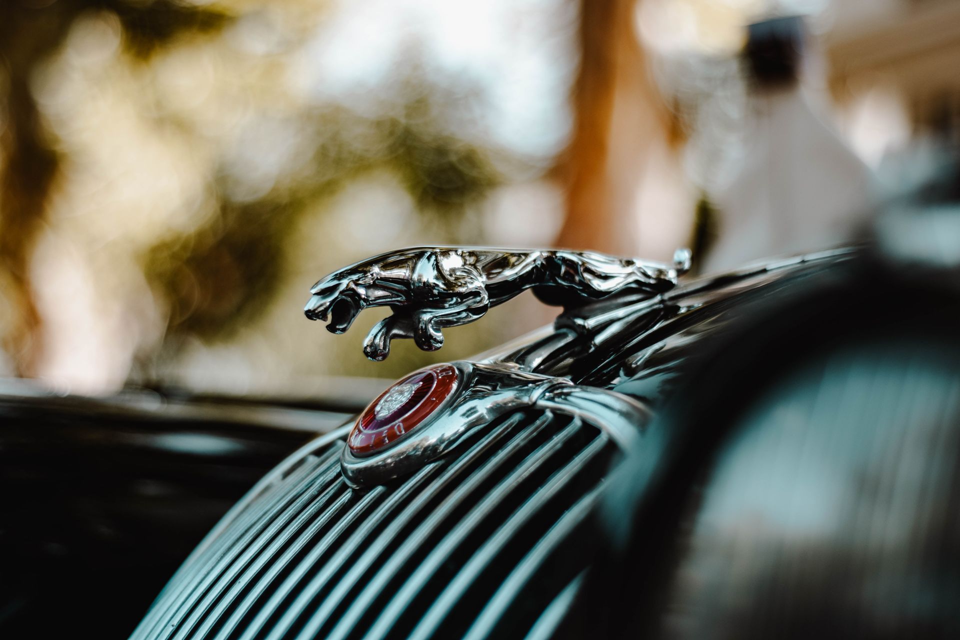 Closeup of an antique Jaguar car hood ornament with selective focus.