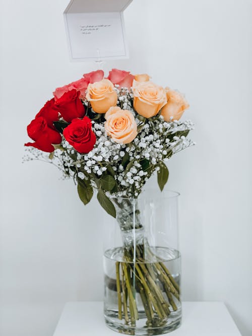 Roses in Vase