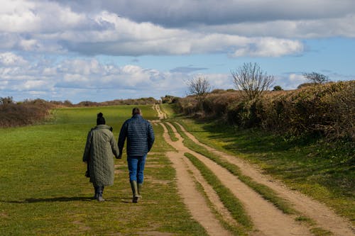 Gratis stockfoto met grasland, kerel, landschap