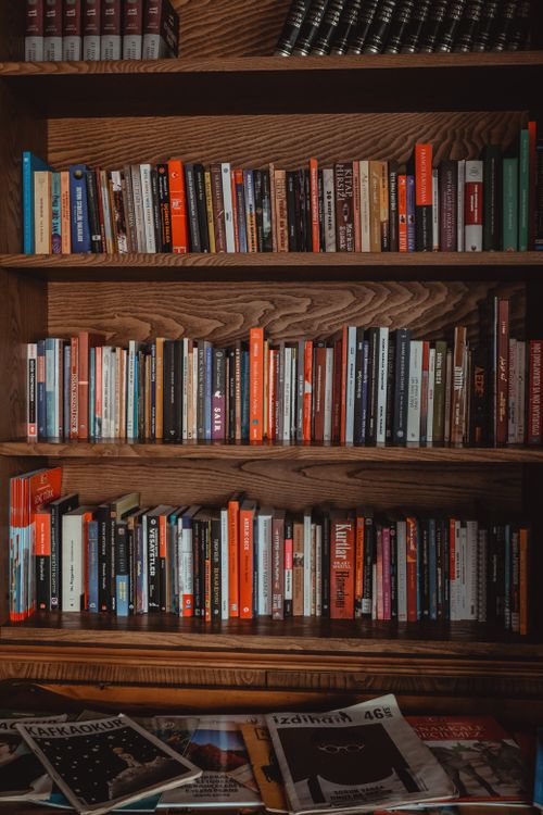 Free A variety of books neatly arranged on wooden shelves in a cozy library setting. Stock Photo