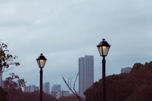 View of Streetlamps in a Park and Skyscrapers in the Background 