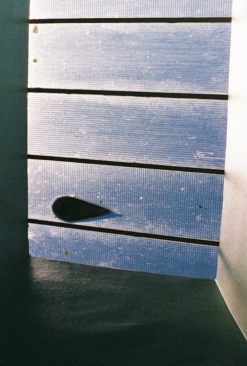 Darmowe zdjęcie z galerii z abstrakcyjny, dach, gołąb
