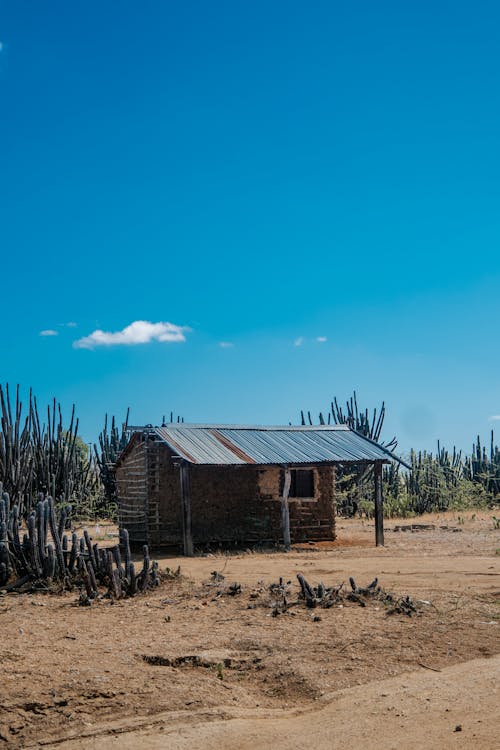 Gratis arkivbilde med colombia, guajira, himmel