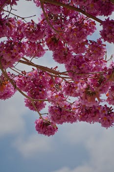 image.mefiz.com