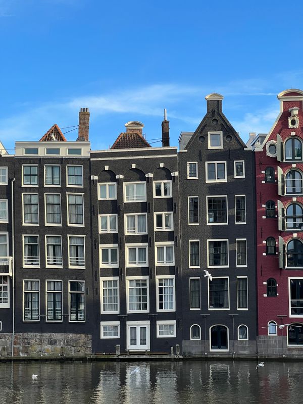 Meeuwenlaan 52