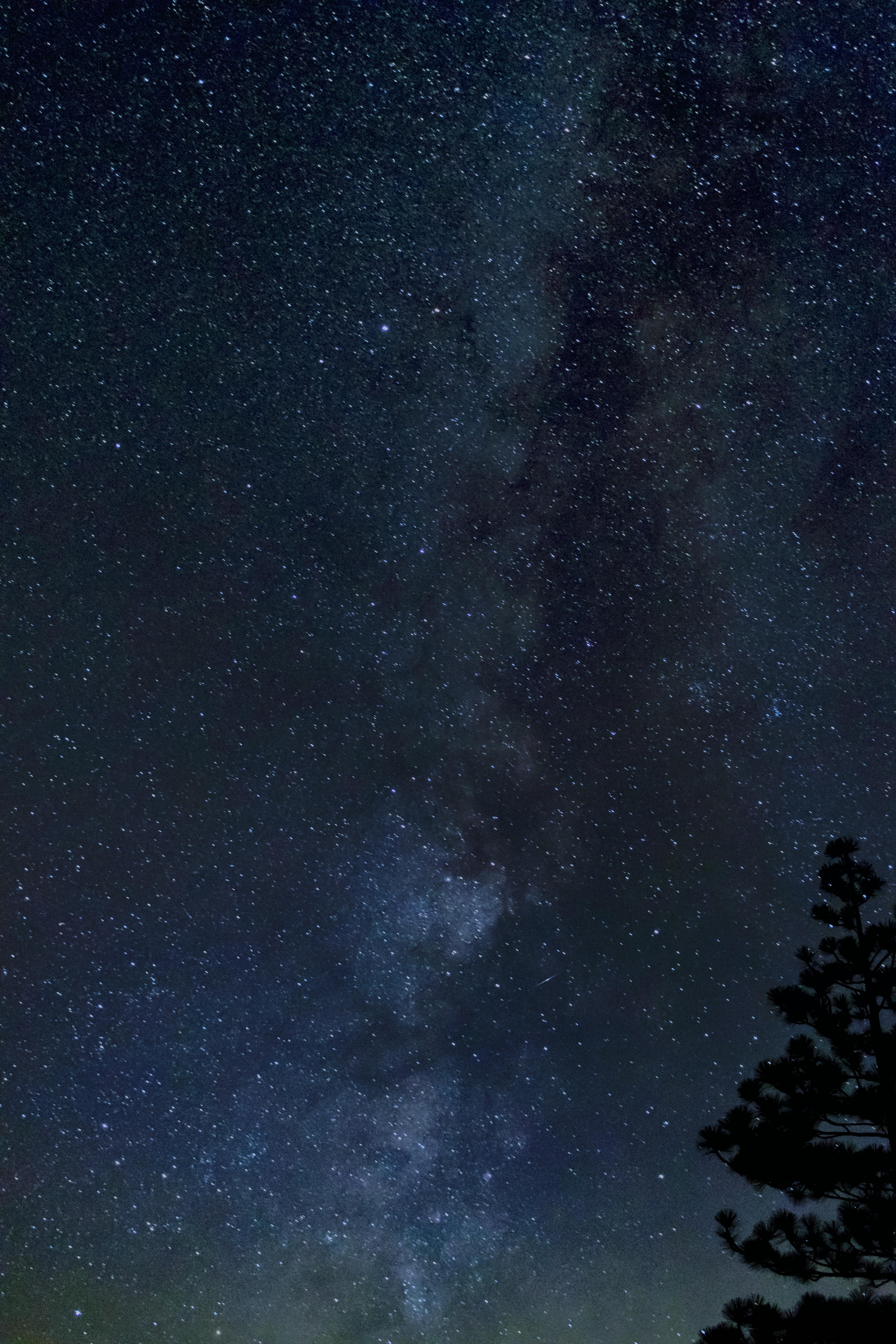 Kostenloses Foto zum Thema astrofotografie, astronomie, baum