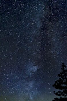 在黑暗的星空中，银河系的迷人景色闪闪发光，映衬着树木