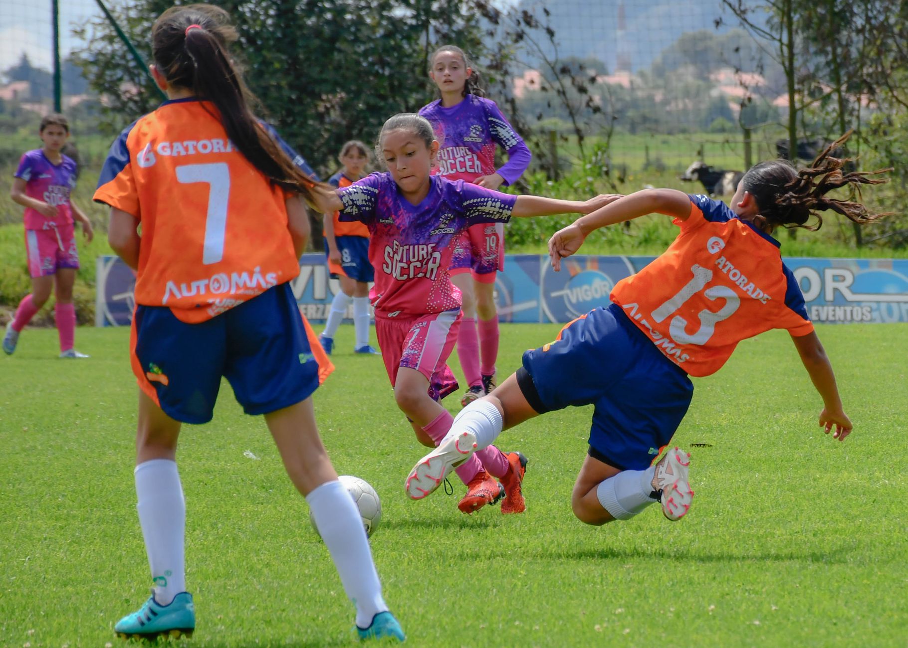 Camps sportifs multi-activités