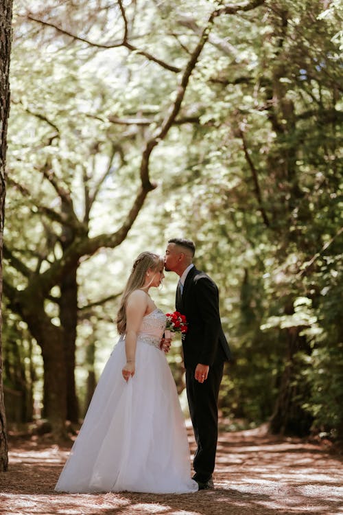 Foto profissional grátis de árvores, beijando, beijo