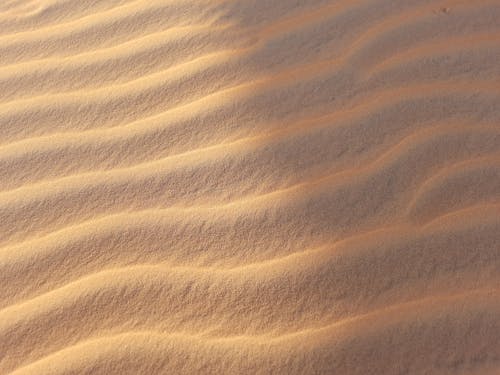 Foto stok gratis bukit pasir, gersang, gurun pasir