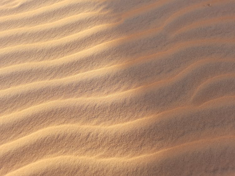 Beach Sand Texture