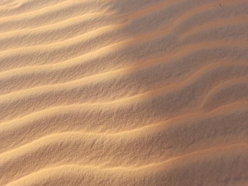 Free Textured sand dunes in Lompoul, Senegal, showcasing fine patterns and warm tones. Stock Photo