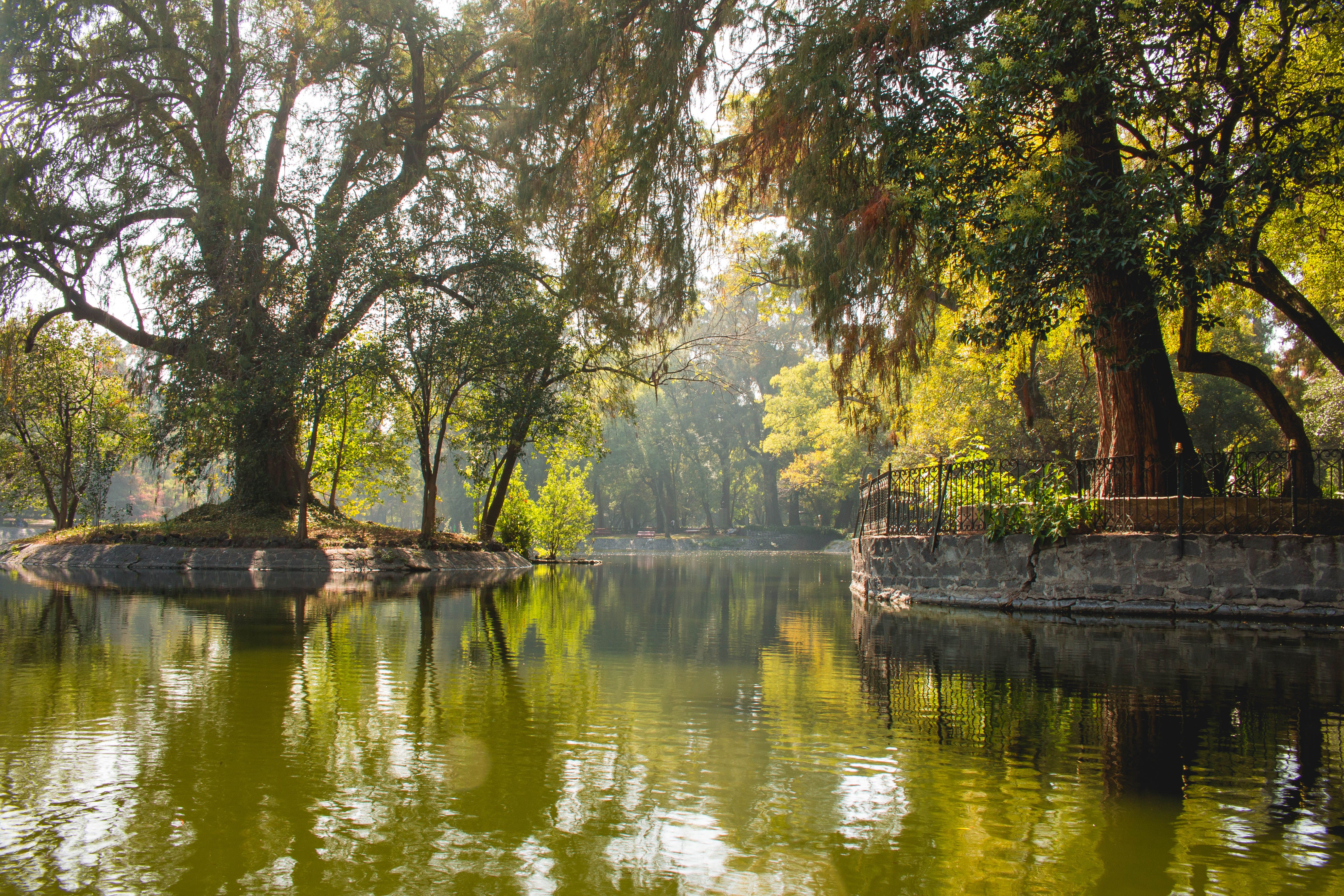 Canales de Xochimilco con trajineras coloridas