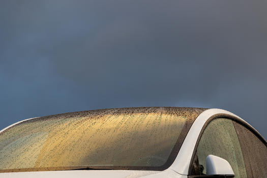 Car in Rain