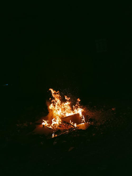 Foto stok gratis api unggun, gelap, malam