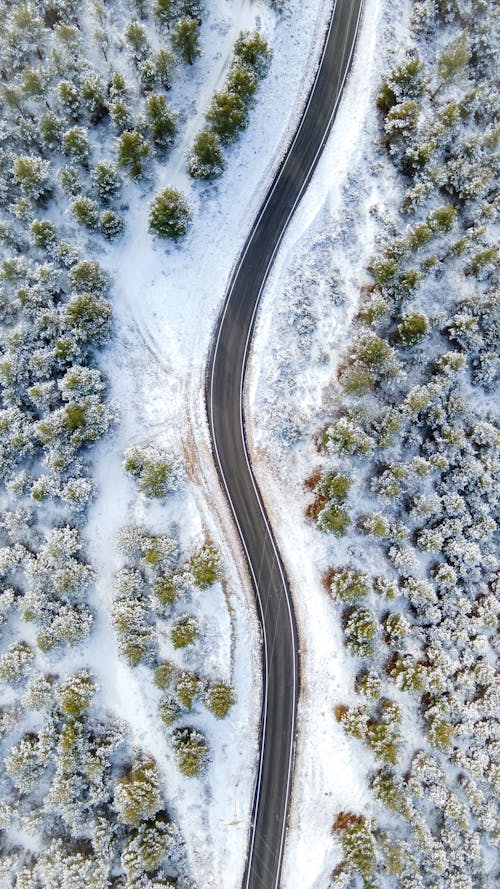 Fotobanka s bezplatnými fotkami na tému cesta, krajina, les