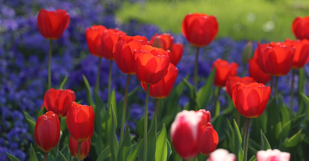 國際:瑞士列車遭遇雪崩出軌 80人傷亡情況不明