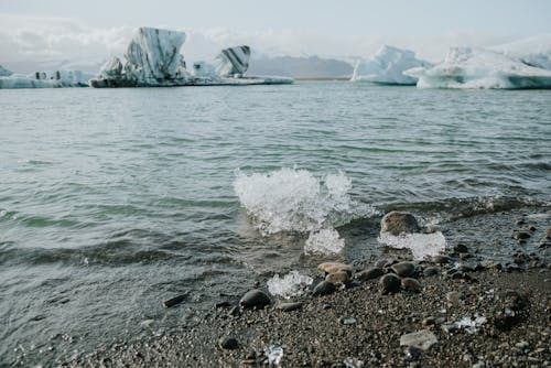 ฟรี คลังภาพถ่ายฟรี ของ ก้อนน้ำแข็ง, ชายทะเล, ชายหาด คลังภาพถ่าย