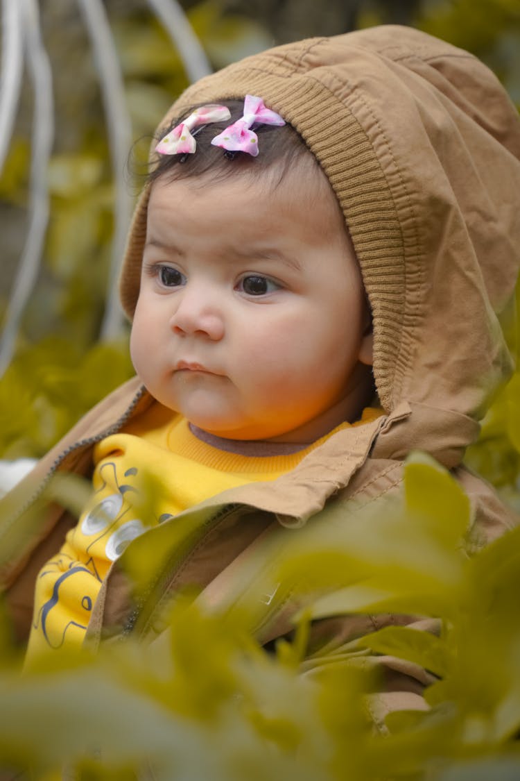 Baby In Jacket